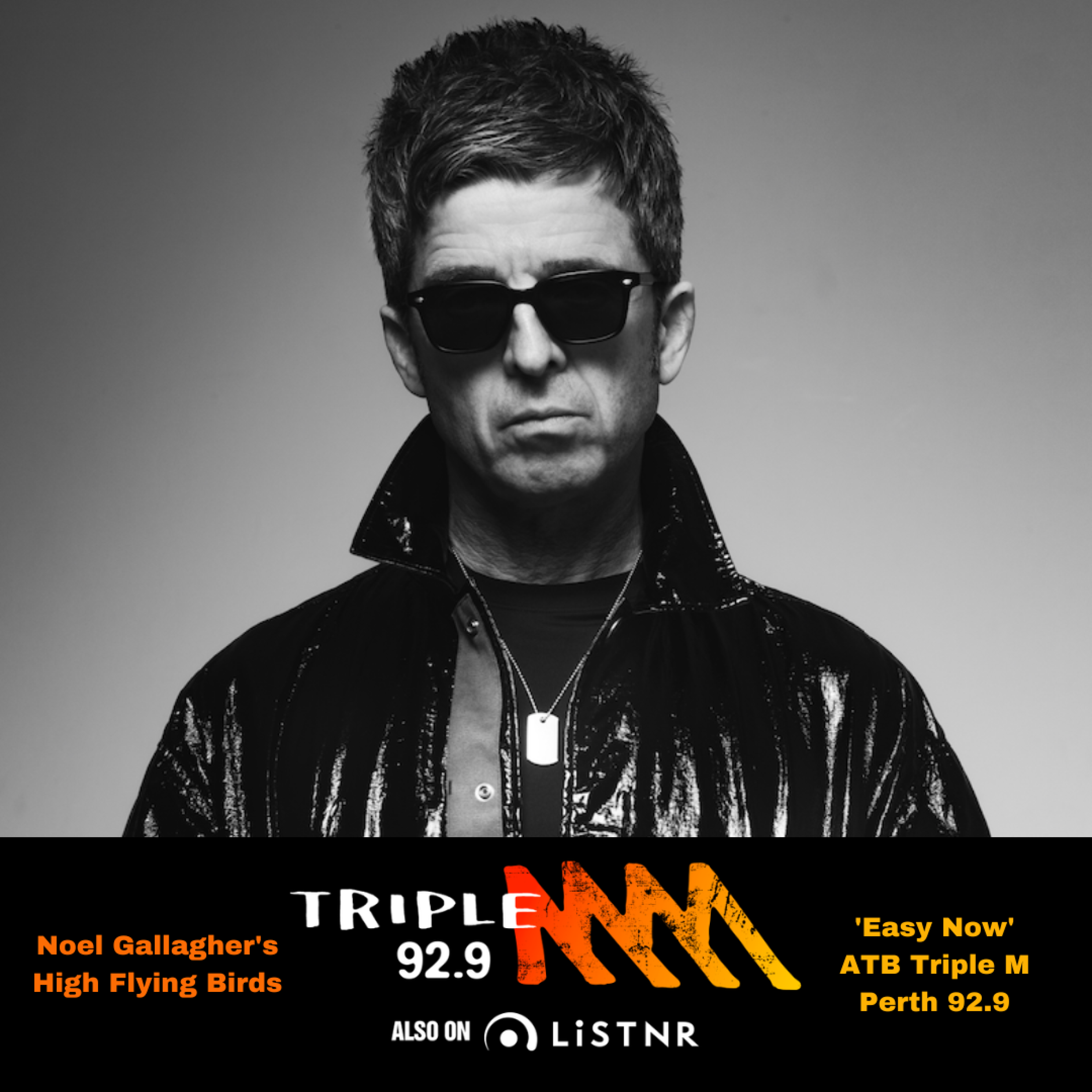 Noel Gallagher's High Flying Birds - 